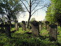 800px-Mennonite Graveyard Heubuden 3.JPG